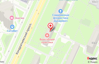 Городская поликлиника №54 на Кондратьевском проспекте на карте