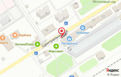 Супермаркет Пятёрочка на Центральной улице на карте