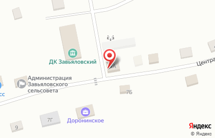 Продуктовый магазин Доронинское на Центральной улице на карте