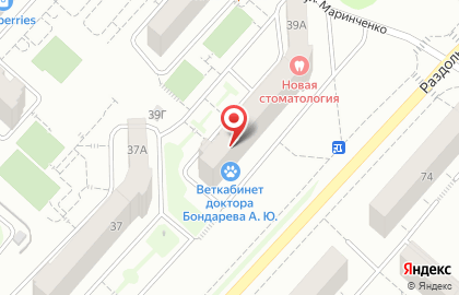 Ветеринарная клиника доктора Бондарева на Раздольной улице на карте