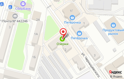 Аптека Озерки в Пензе на карте