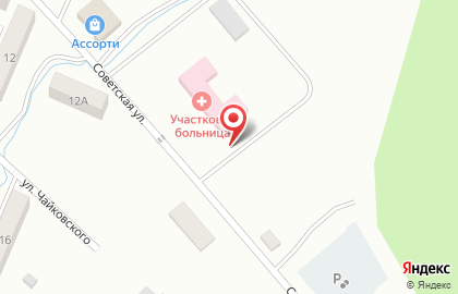 Невельская центральная районная больница на Советской улице на карте
