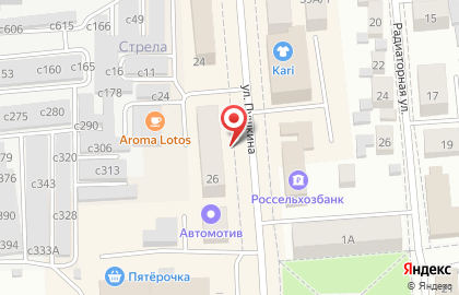 Салон-магазин Дворянское гнездо на улице Пушкина на карте