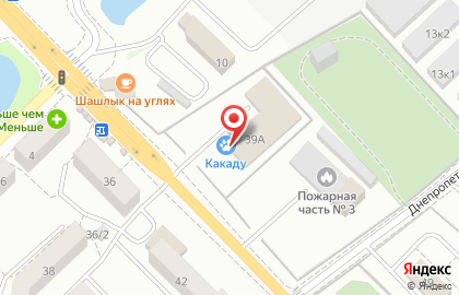 Зоомагазин Какаду на улице Дзержинского на карте