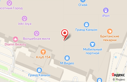 Фирменный магазин Арена на проспекте Просвещения на карте