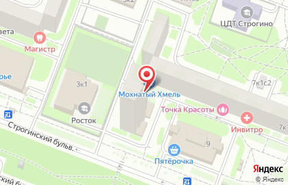 Мобил Элемент на Строгинском бульваре на карте