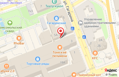 Зоомагазин ЧЕТЫРЕ ЛАПЫ на улице Гагарина на карте