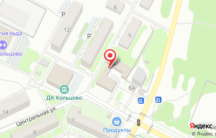 Бар-бильярдная Новоборский на карте