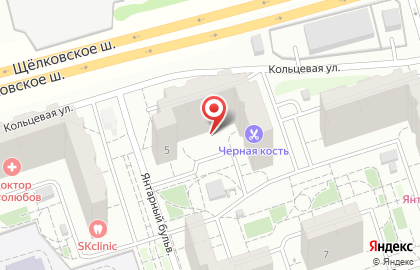 Диана, Московская область на Кольцевой улице на карте
