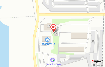 Шиномонтажная мастерская Шинодел на Динамовском шоссе на карте