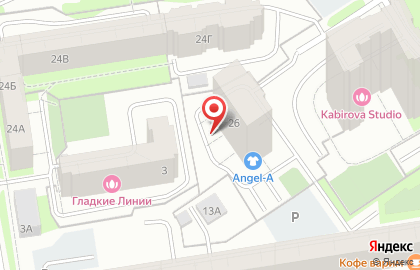 Частное охранное предприятие ЛЕВ в Дзержинском районе на карте