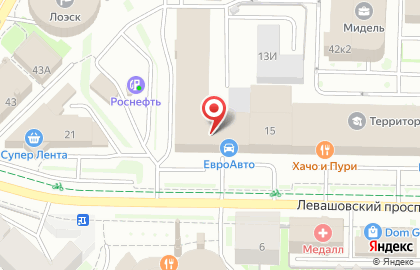 Магазин автозапчастей и сервис ЕвроАвто на Левашовском проспекте на карте