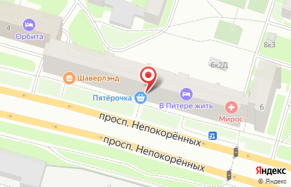 Магазин Выгодно! на проспекте Непокорённых на карте