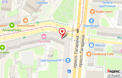 Магазин рыболовных принадлежностей Рыболов на проспекте Гагарина на карте