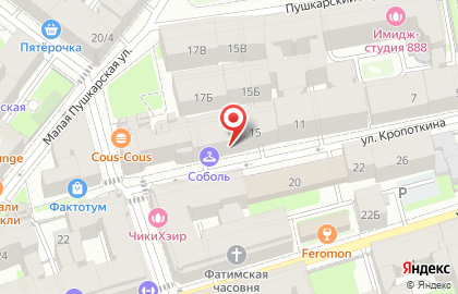 Петроградское добровольное пожарное общество на карте