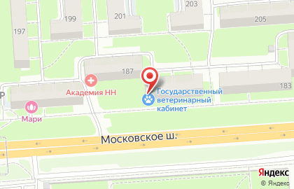Визовый центр Globus на Московском шоссе на карте