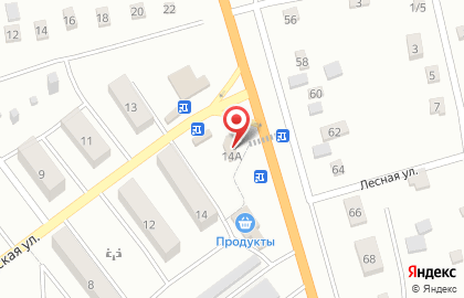 Продуктовый магазин Атаман на Заводской улице на карте