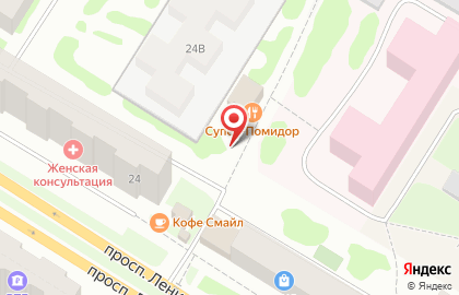 Магазин Дачный кот на проспекте Ленина на карте