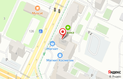 Сеть магазинов цветов и сувениров FLORA SERVICE на улице Карпинского, 107 на карте
