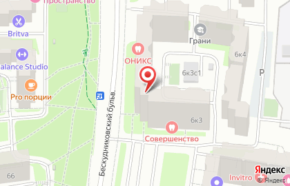 Львенок на карте
