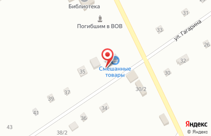 Смешанные товары на улице Гагарина на карте