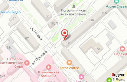 Мастерская по ремонту обуви на улице Пушкина на карте