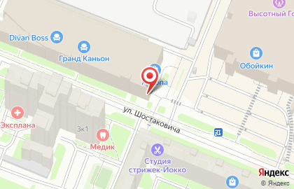 Компания Dвери в DOM на проспекте Просвещения на карте