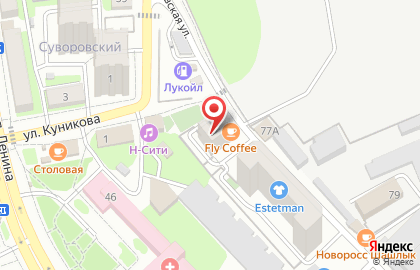 Продуктовая лавка на Суворовской улице на карте