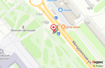 Киоск быстрого питания РобинСдобин на Мичуринской улице на карте