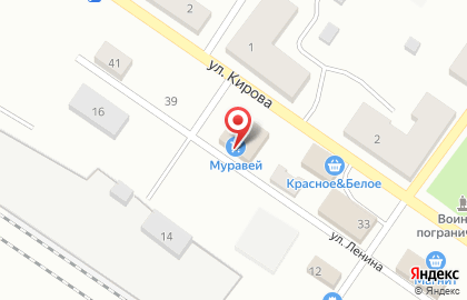 Магазин Муравей на улице Ленина на карте