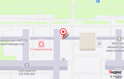 Интернет-магазин Любимая косметика в Новосибирске на карте