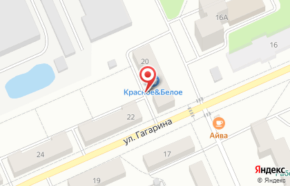 Продовольственный магазин, ООО Гастроном на улице Гагарина на карте