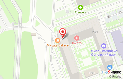 Цветочный магазин РазноЦвет на проспекте Просвещения на карте