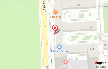 Сервисный центр iCentre-Service на Лесопарковой улице на карте