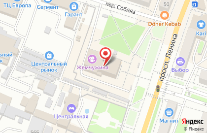 Киоск по продаже замороженных полуфабрикатов и мороженого на проспекте Ленина на карте