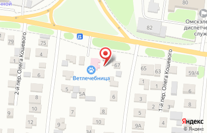 Ветеринарная лечебница, экспертизы и лечения животных в Кировском округе на карте