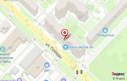 Магазин Городская база цветов на улице Победы в Реутове на карте