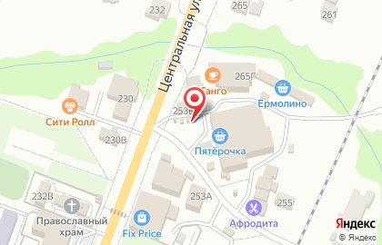 Киоск на Центральной улице на карте