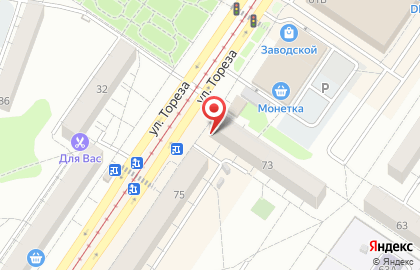 Зоомагазин Оскар на проспекте Тореза на карте
