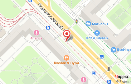 ОАО Холдинг Центр на Ломоносовском проспекте на карте