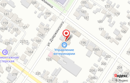 Государственная ветеринарная клиника на улице Дзержинского на карте