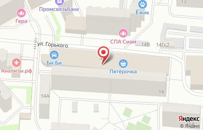 Аптечный пункт Сбер Еаптека на улице Горького на карте