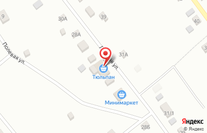 Многопрофильный магазин Тюльпан на карте