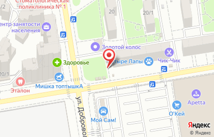 Магазин Медтехника №1 на улице Добровольского на карте