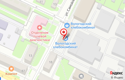Рыжий кот на карте