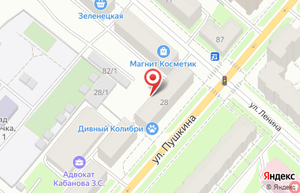 Колибри на улице Пушкина на карте