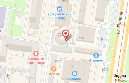 Оленька на улице Попова на карте