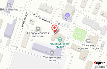 Врачебная амбулатория, пос. Мичуринский на карте