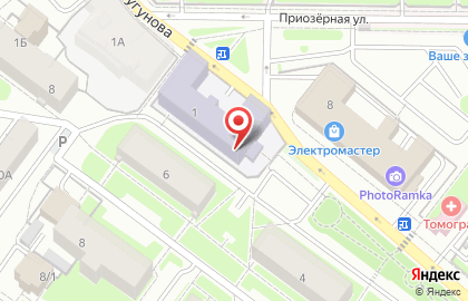 Детская школа искусств №1 на улице Чугунова на карте