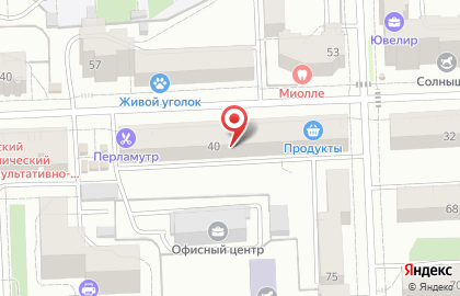 Магазин разливных напитков Пенная Гильдия на улице Труда на карте